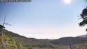 ./images/calvert/fitz-hugh-hecate/20260722/fitz-hugh-hecate20260722_100501M.jpg
