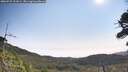 ./images/calvert/fitz-hugh-hecate/20260722/fitz-hugh-hecate20260722_101001M.jpg