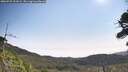 ./images/calvert/fitz-hugh-hecate/20260722/fitz-hugh-hecate20260722_102002M.jpg