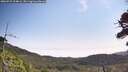 ./images/calvert/fitz-hugh-hecate/20260722/fitz-hugh-hecate20260722_104001M.jpg