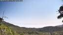 ./images/calvert/fitz-hugh-hecate/20260722/fitz-hugh-hecate20260722_105501M.jpg