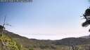 ./images/calvert/fitz-hugh-hecate/20260722/fitz-hugh-hecate20260722_110001M.jpg