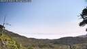 ./images/calvert/fitz-hugh-hecate/20260722/fitz-hugh-hecate20260722_110501M.jpg