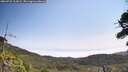 ./images/calvert/fitz-hugh-hecate/20260722/fitz-hugh-hecate20260722_112001M.jpg