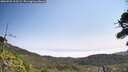 ./images/calvert/fitz-hugh-hecate/20260722/fitz-hugh-hecate20260722_112501M.jpg