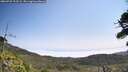 ./images/calvert/fitz-hugh-hecate/20260722/fitz-hugh-hecate20260722_113502M.jpg
