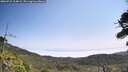 ./images/calvert/fitz-hugh-hecate/20260722/fitz-hugh-hecate20260722_114001M.jpg