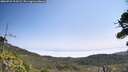 ./images/calvert/fitz-hugh-hecate/20260722/fitz-hugh-hecate20260722_114501M.jpg