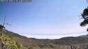 ./images/calvert/fitz-hugh-hecate/20260722/fitz-hugh-hecate20260722_120001M.jpg