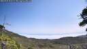 ./images/calvert/fitz-hugh-hecate/20260722/fitz-hugh-hecate20260722_121502M.jpg