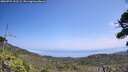 ./images/calvert/fitz-hugh-hecate/20260722/fitz-hugh-hecate20260722_131501M.jpg