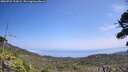 ./images/calvert/fitz-hugh-hecate/20260722/fitz-hugh-hecate20260722_132001M.jpg