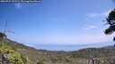 ./images/calvert/fitz-hugh-hecate/20260722/fitz-hugh-hecate20260722_132501M.jpg
