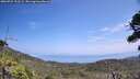 ./images/calvert/fitz-hugh-hecate/20260722/fitz-hugh-hecate20260722_133501M.jpg