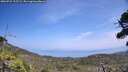 ./images/calvert/fitz-hugh-hecate/20260722/fitz-hugh-hecate20260722_135501M.jpg