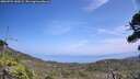 ./images/calvert/fitz-hugh-hecate/20260722/fitz-hugh-hecate20260722_140501M.jpg