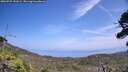 ./images/calvert/fitz-hugh-hecate/20260722/fitz-hugh-hecate20260722_141001M.jpg