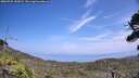 ./images/calvert/fitz-hugh-hecate/20260722/fitz-hugh-hecate20260722_142001M.jpg