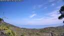 ./images/calvert/fitz-hugh-hecate/20260722/fitz-hugh-hecate20260722_143001M.jpg