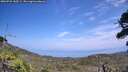 ./images/calvert/fitz-hugh-hecate/20260722/fitz-hugh-hecate20260722_143501M.jpg