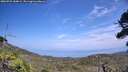 ./images/calvert/fitz-hugh-hecate/20260722/fitz-hugh-hecate20260722_144001M.jpg