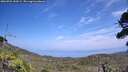./images/calvert/fitz-hugh-hecate/20260722/fitz-hugh-hecate20260722_144501M.jpg