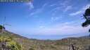 ./images/calvert/fitz-hugh-hecate/20260722/fitz-hugh-hecate20260722_145001M.jpg