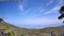 ./images/calvert/fitz-hugh-hecate/20260722/fitz-hugh-hecate20260722_145501M.jpg