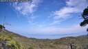 ./images/calvert/fitz-hugh-hecate/20260722/fitz-hugh-hecate20260722_151001M.jpg