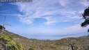 ./images/calvert/fitz-hugh-hecate/20260722/fitz-hugh-hecate20260722_152501M.jpg