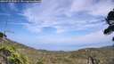 ./images/calvert/fitz-hugh-hecate/20260722/fitz-hugh-hecate20260722_153001M.jpg