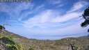 ./images/calvert/fitz-hugh-hecate/20260722/fitz-hugh-hecate20260722_154501M.jpg