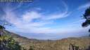 ./images/calvert/fitz-hugh-hecate/20260722/fitz-hugh-hecate20260722_190502M.jpg