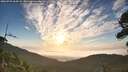 ./images/calvert/fitz-hugh-hecate/20260723/fitz-hugh-hecate20260723_064502M.jpg