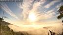 ./images/calvert/fitz-hugh-hecate/20260723/fitz-hugh-hecate20260723_071001M.jpg