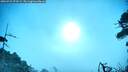 ./images/calvert/fitz-hugh-hecate/20260723/fitz-hugh-hecate20260723_073501M.jpg