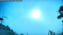 ./images/calvert/fitz-hugh-hecate/20260723/fitz-hugh-hecate20260723_074501M.jpg