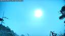 ./images/calvert/fitz-hugh-hecate/20260723/fitz-hugh-hecate20260723_075501M.jpg