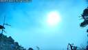 ./images/calvert/fitz-hugh-hecate/20260723/fitz-hugh-hecate20260723_080501M.jpg
