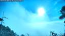 ./images/calvert/fitz-hugh-hecate/20260723/fitz-hugh-hecate20260723_082001M.jpg
