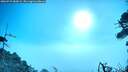 ./images/calvert/fitz-hugh-hecate/20260723/fitz-hugh-hecate20260723_083002M.jpg