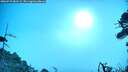 ./images/calvert/fitz-hugh-hecate/20260723/fitz-hugh-hecate20260723_083501M.jpg