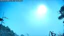 ./images/calvert/fitz-hugh-hecate/20260723/fitz-hugh-hecate20260723_084002M.jpg
