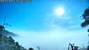 ./images/calvert/fitz-hugh-hecate/20260723/fitz-hugh-hecate20260723_084501M.jpg