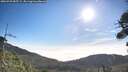 ./images/calvert/fitz-hugh-hecate/20260723/fitz-hugh-hecate20260723_085502M.jpg