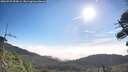 ./images/calvert/fitz-hugh-hecate/20260723/fitz-hugh-hecate20260723_090001M.jpg