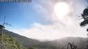 ./images/calvert/fitz-hugh-hecate/20260723/fitz-hugh-hecate20260723_090501M.jpg