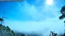 ./images/calvert/fitz-hugh-hecate/20260723/fitz-hugh-hecate20260723_095002M.jpg