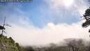 ./images/calvert/fitz-hugh-hecate/20260723/fitz-hugh-hecate20260723_095501M.jpg