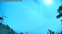 ./images/calvert/fitz-hugh-hecate/20260723/fitz-hugh-hecate20260723_100501M.jpg